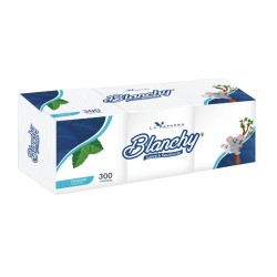 BLANCHY SERVILLETA 24X24CM 300u 8