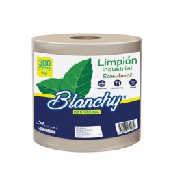 BLANCHY LIMPION INDUSTRIAL 1HX 300M 2